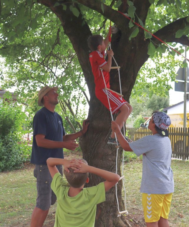 Tierrettung: Kinder mussten mit den Gegenständen den Tieger vom Baum retten